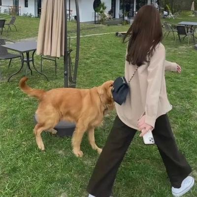 看见第三季